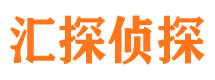 花山市私家侦探